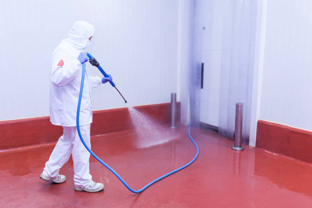 Best Graffiti Removal  in Marion, IL