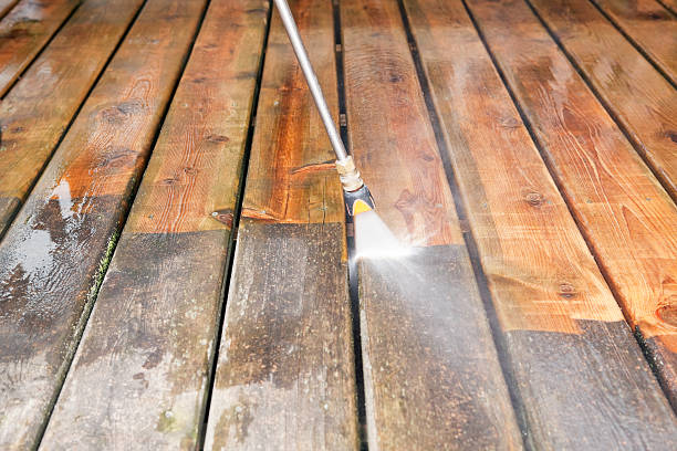 Best Animal Enclosure Cleaning  in Marion, IL